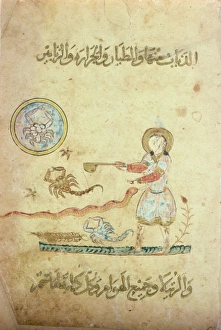Scorpion Prints: Alet-i-Rafadiza-Al Ziji Shahirshahiza