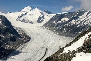 Jungfrau Prints: Aletsch Glacier and the Jungfrau