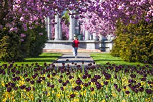 Cardiff Prints: Alexandra Gardens, Cardiff, Wales, United Kingdom, Europe