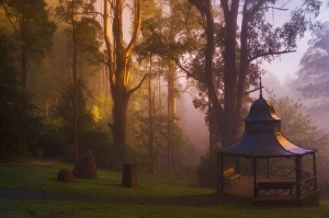 Alfred Nicholas Gardens, Dandenong Ranges, Victoria, Australia, Pacific