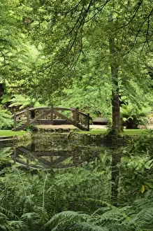 Dandenong Ranges Prints: Alfred Nicholas Gardens, Dandenong Ranges National Park, Dandenong Ranges