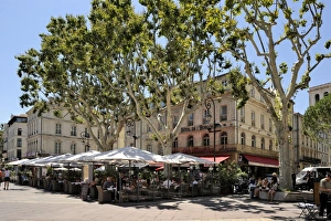 Avignon Prints: Alfresco restaurants, Place de L Horloge, Avignon, Provence, France, Europe