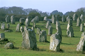 Brittany Prints: Alignments of Megalithic standing stones, Carnac, Morbihan, Brittany, France, Europe