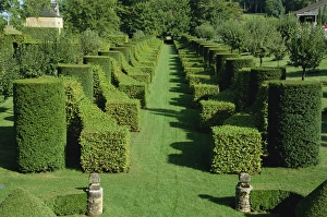 Dordogne Prints: Allee des charmes, Les Jardins d Eyrignac, Dordogne, Perigord, Aquitaine