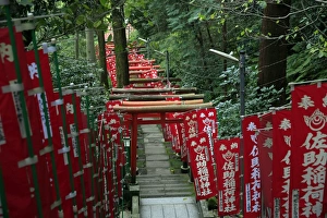 Japanese Script Prints: Alley in the Kamakura hills, Honshu, Japan, Asia