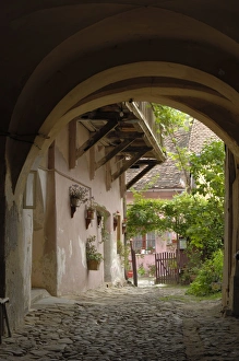 Sighisoara Prints: Alleyway, Sighisoara, Transylvania, Romania, Europe