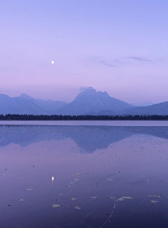 Images Dated 18th October 2009: Allgau Alps reflecting in Hopfensee Lake at moonrise, near Fussen, Allgau, Bavaria, Germany, Europe