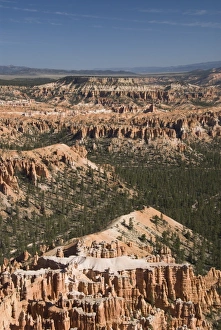 Bryce Point Prints: Alligator rock formation in white, Bryce Point, Bryce Canyon National Park