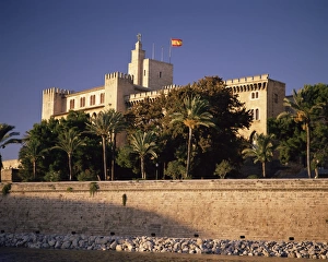 Flag Pole Prints: The Almadaina Palace amongst palm trees