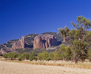 Aragon Prints: Almond trees below the Los Mallos rock pillars at Riglos, Aragon, Spain, Europe