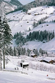 Austria Prints: Alpbach, Austria, Europe