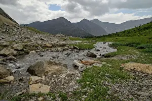 Nature Lovers Prints: Alpine creek flowing through wildflower meadows along the Ptarmigan Cirque Trail in summer