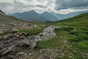 Nature Lovers Prints: Alpine creek flowing through wildflower meadows along the Ptarmigan Cirque Trail in summer