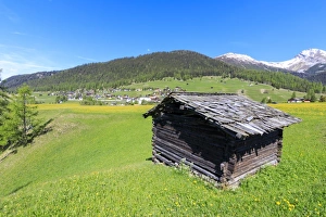 Alpine hut in the green meadows, Davos Wiesen, Canton of Graubunden, Prettigovia Davos Region