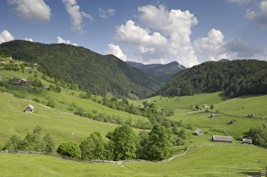 Alpine scenery, near Fundata and Bran, Transylvania, Romania, Europe