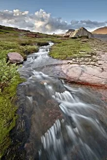Images Dated 25th August 2011: Alpine stream, Glacier National Park, Montana, United States of America, North America