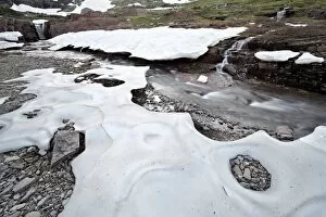 Images Dated 26th August 2011: Alpine stream with snow, Glacier National Park, Montana, United States of America, North America