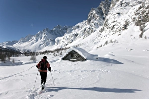 Access Prints: Alps in winter, Alpe Devero, Piedmont Region, Italy, Europe