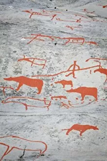 Images Dated 29th June 2009: Alta Rock Art, UNESCO World Heritage Site, Alta, Finnmark, Norway, Scandinavia, Europe