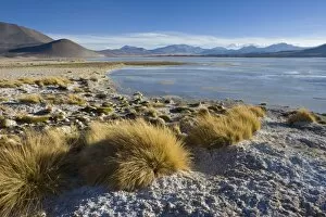 Images Dated 24th March 2008: The altiplano at an altitude of over 4000m looking over the salt lake Laguna de Tuyajto