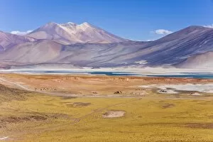 Images Dated 24th March 2008: The altiplano at an altitude of over 4000m looking over the salt lake Laguna de Tuyajto