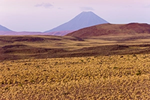 Images Dated 24th March 2008: The altiplano at an altitude of over 4000m looking towards Volcan Chiliques at 5727m