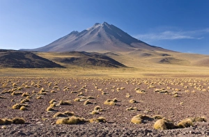 Images Dated 24th March 2008: The altiplano at an altitude of over 4000m and the peak of Cerro Miniques at 5910m