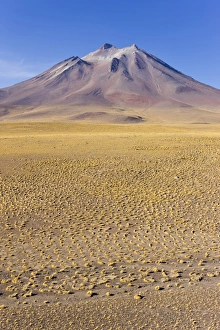 Images Dated 24th March 2008: The altiplano at an altitude of over 4000m and the peak of Cerro Miniques at 5910m