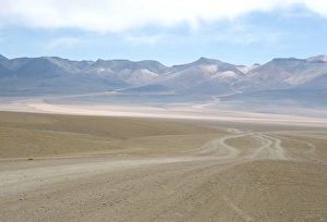 Altiplano Prints: Altiplano desert near Laguna Colorada, Southwest Highlands, Bolivia, South America