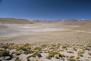 Altiplano Prints: Altiplano and high-level volcanoes, El Tatio basin, above Calama, Atacama Desert