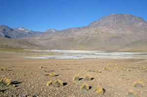 Altiplano Prints: Altiplano and high-level volcanoes, between Caspana and El Tatio, Atacama Desert