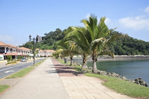 Images Dated 3rd December 2008: Amador Causeway, Panama City, Panama, Central America