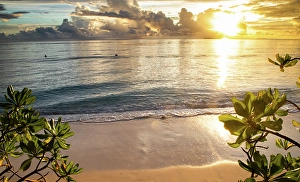Wellness Prints: Amazing sunset over the sea on a tropical island, The Maldives, Indian Ocean