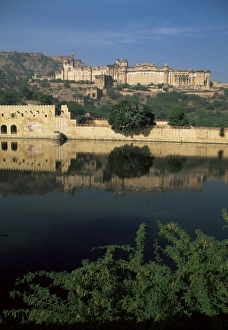 Amber Palace Prints: Amber Palace