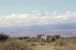 Elephant Prints: Amboseli Game Reserve and Mount Kilimanjaro