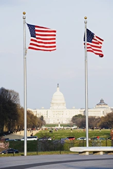 Patriotism Prints: American flags, The Capitol Building