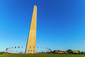 Washington Prints: American flags surrounding the Washington Monument in Washington