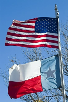 Nationalism Prints: American and Texan flags