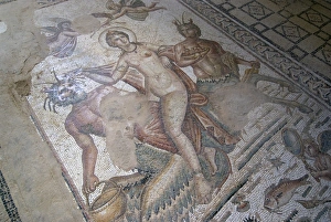 Images Dated 24th March 2008: Part of Amphitrite mosaic, House of Amphitrite, Roman ruin of Bulla Regia