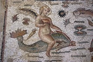 Part of Amphitrite mosaic, House of Amphitrite, Roman ruin of Bulla Regia