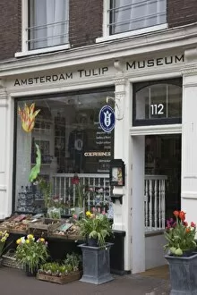 Amsterdam Tulip Museum, Jordaan, Amsterdam, Netherlands, Europe