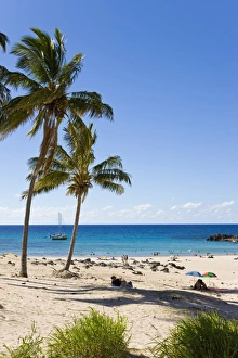 Images Dated 16th March 2008: Anakena beach, the Islands white sand beach fringed by palm trees