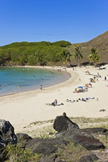 Images Dated 16th March 2008: Anakena beach, the Islands white sand beach fringed by palm trees