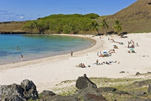 Images Dated 16th March 2008: Anakena beach, the Islands white sand beach fringed by palm trees