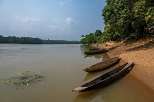 Canoe Prints: Anchoring boats, Sangha River, Dzanga Sangha National Park