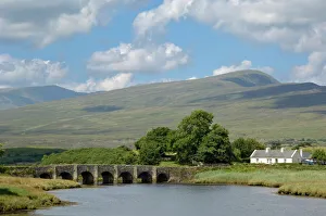 Cottage Prints: Ancient bridge near Newport