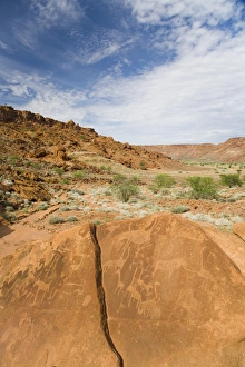 Images Dated 16th February 2008: Ancient drawings (petroglyphs) on sandstone rock, dating back 6000 years to the early stone age