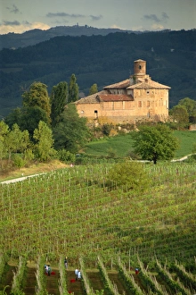 An ancient fortified wine cantina
