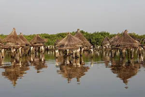 Senegal Prints: Ancient granaries on an island among mangrove trees