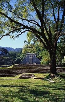 Steps And Staircase Prints: Ancient Mayan Temple, Palenque, Chiapas, Mexico